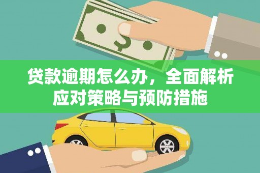 大姚贷款逾期怎么办，全面解析应对策略与预防措施