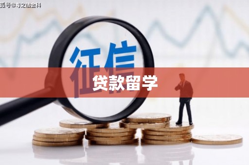 大姚贷款留学