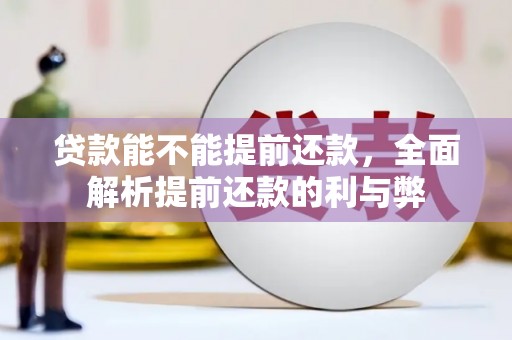 大姚贷款能不能提前还款，全面解析提前还款的利与弊