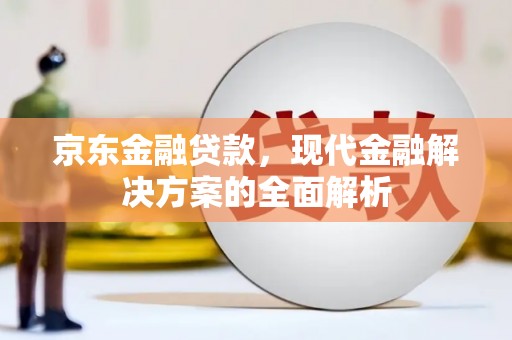 大姚京东金融贷款，现代金融解决方案的全面解析