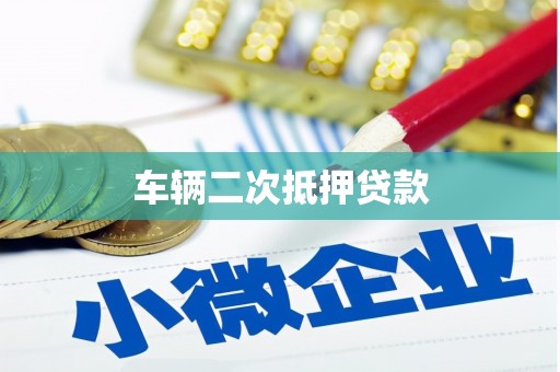 大姚车辆二次抵押贷款