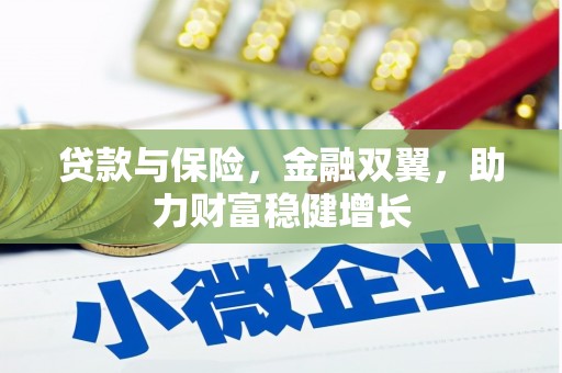 大姚贷款与保险，金融双翼，助力财富稳健增长