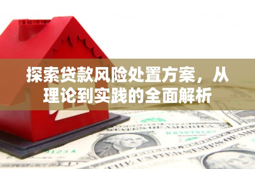 大姚探索贷款风险处置方案，从理论到实践的全面解析