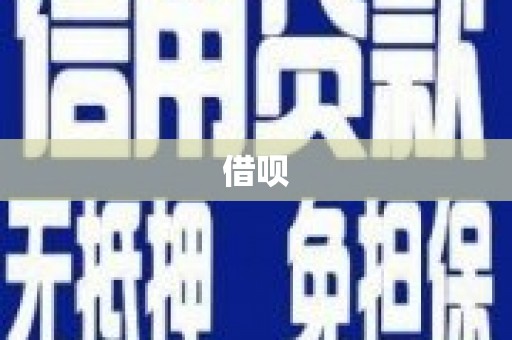 大姚借呗