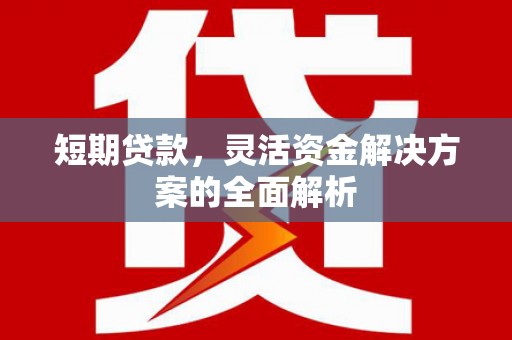 大姚短期贷款，灵活资金解决方案的全面解析