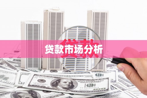 大姚贷款市场分析