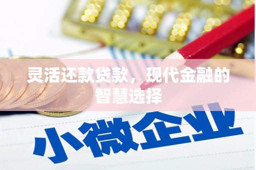 大姚灵活还款贷款，现代金融的智慧选择
