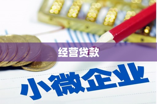 大姚经营贷款