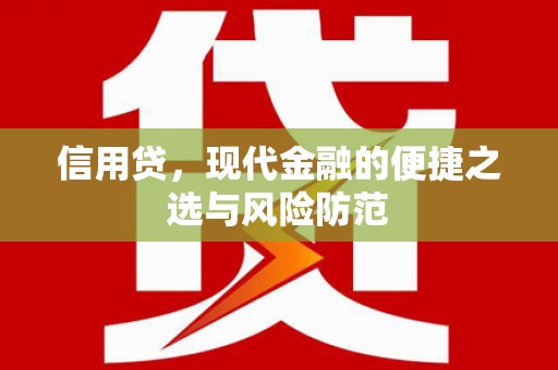 大姚信用贷，现代金融的便捷之选与风险防范