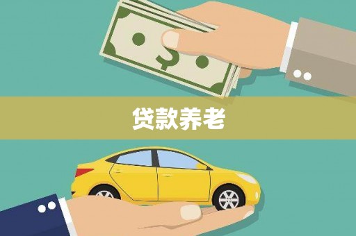大姚贷款养老