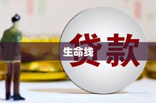 大姚生命线