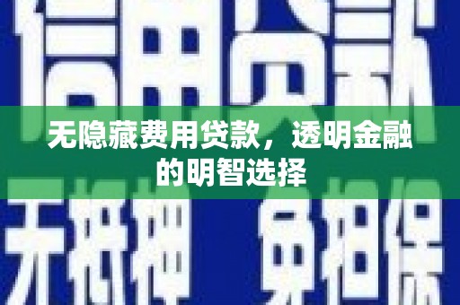 大姚无隐藏费用贷款，透明金融的明智选择