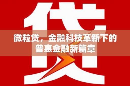 大姚微粒贷，金融科技革新下的普惠金融新篇章