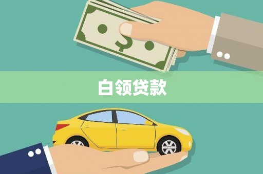 大姚白领贷款