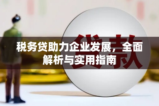 大姚税务贷助力企业发展，全面解析与实用指南