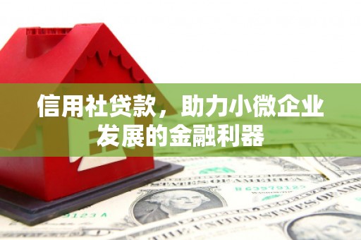 大姚信用社贷款，助力小微企业发展的金融利器