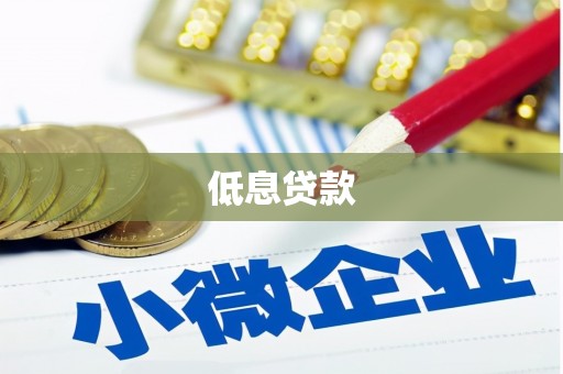 大姚低息贷款
