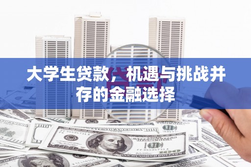 大姚大学生贷款，机遇与挑战并存的金融选择