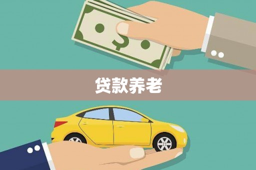 大姚贷款养老