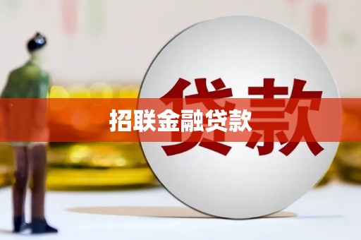 大姚招联金融贷款