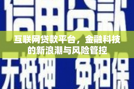 大姚互联网贷款平台，金融科技的新浪潮与风险管控