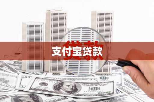 大姚支付宝贷款