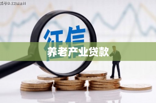 大姚养老产业贷款