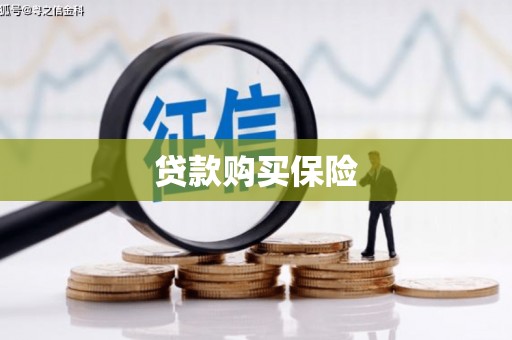 大姚贷款购买保险