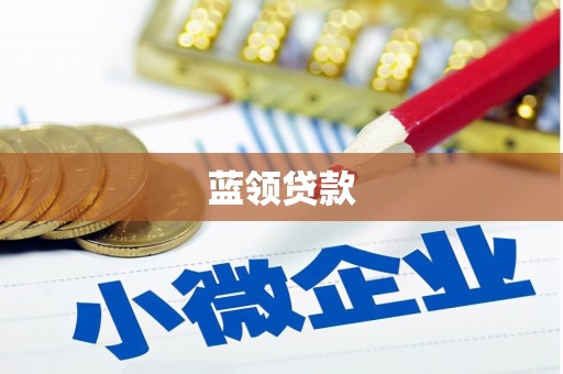 大姚蓝领贷款