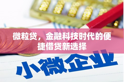 大姚微粒贷，金融科技时代的便捷借贷新选择