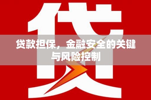 大姚贷款担保，金融安全的关键与风险控制
