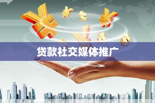 大姚贷款社交媒体推广