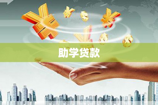 大姚助学贷款