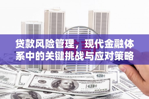 大姚贷款风险管理，现代金融体系中的关键挑战与应对策略
