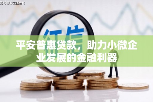 大姚平安普惠贷款，助力小微企业发展的金融利器
