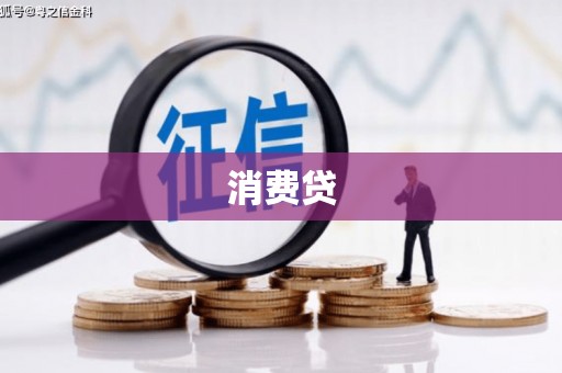 大姚消费贷
