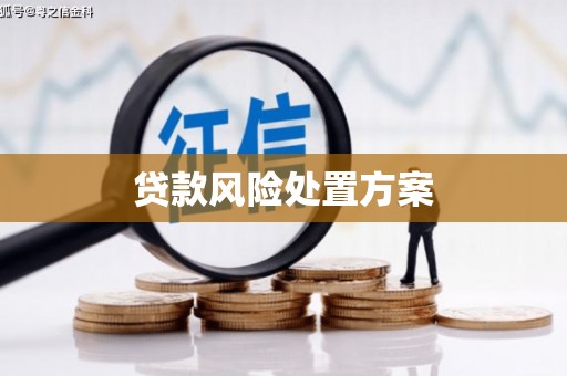 大姚贷款风险处置方案
