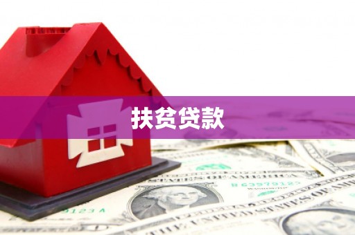 大姚扶贫贷款
